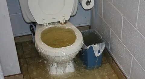 Мыть грязный унитаз