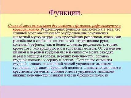 Основная функция которого заключается в
