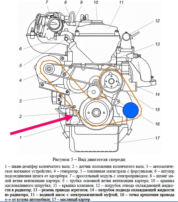 Схема ремней уаз 409. Приводной ремень ЗМЗ 409 схема схема. Схема ремня 405 евро 3 с ГУРОМ. Двигатель 405 Газель евро 3 ремень генераторный. Схема натяжения ремня ЗМЗ 405 евро.