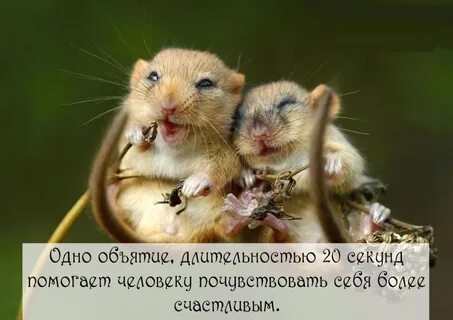 День объятий 4 декабря картинки