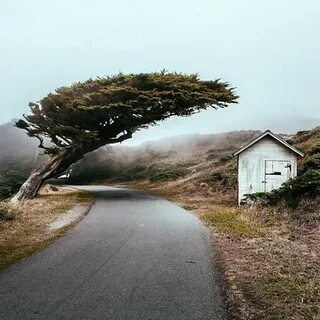 The wind road