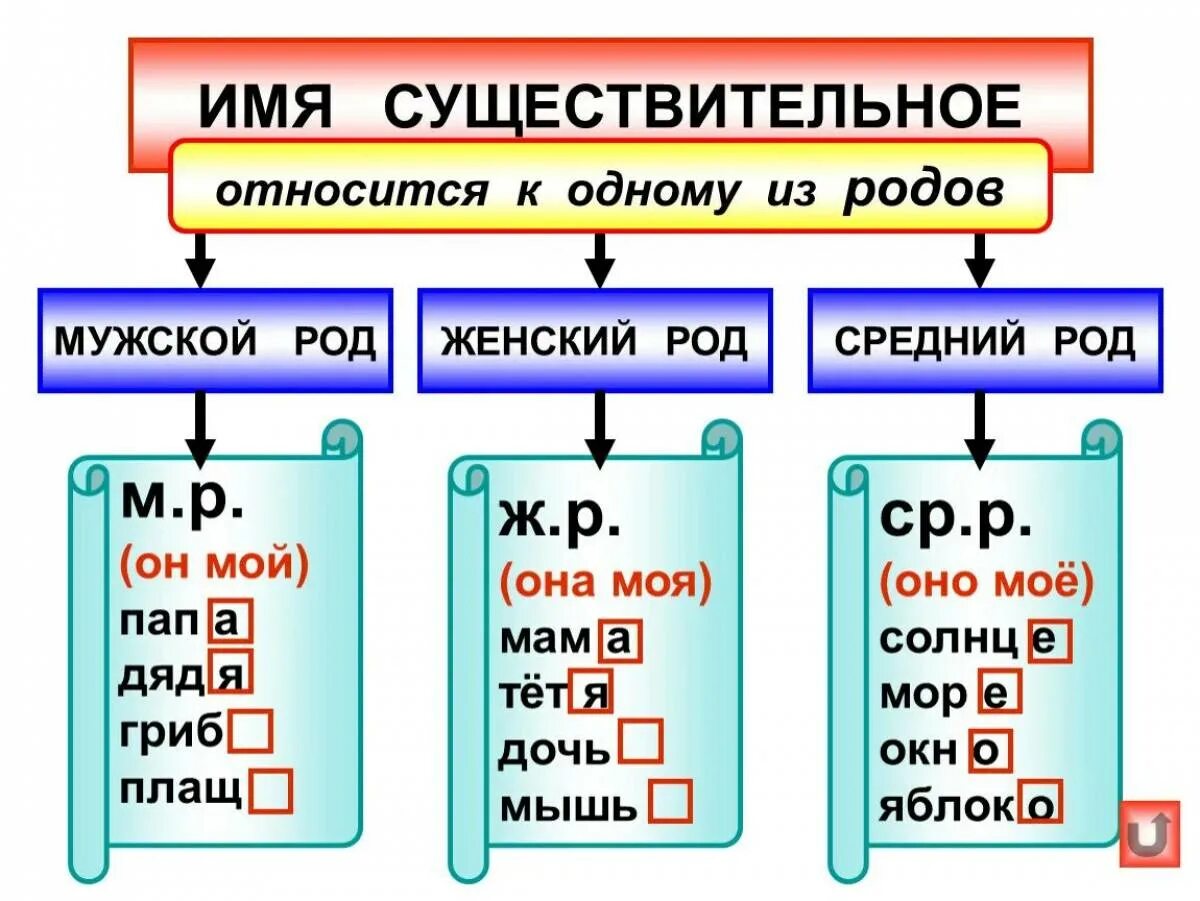 Мужской род русский язык 3 класс