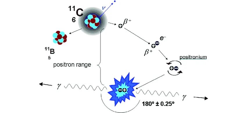 Позитрон бета распад ртути. Радиоактивный распад анимация. Рисунок электронный Позитрон превращение в фотоны. Позитрон аннигиляционный спектрометр.