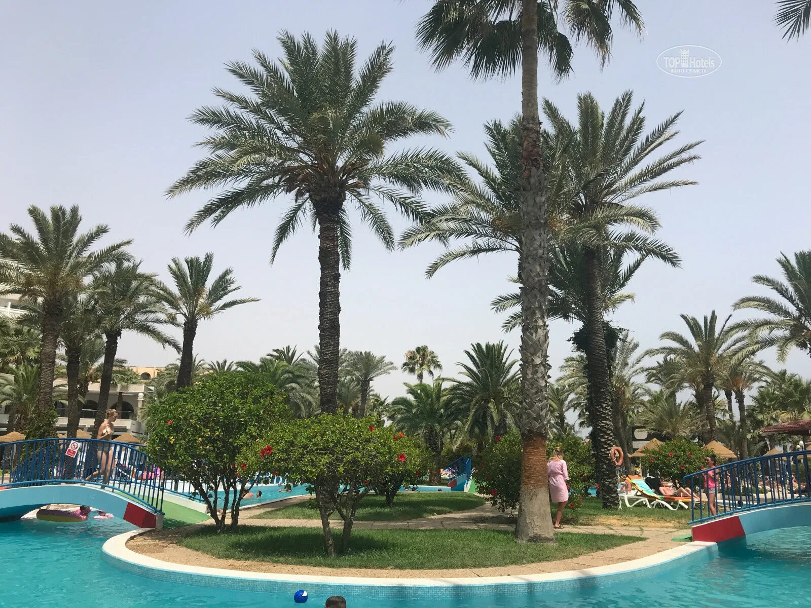 Riadh palms 4 тунис. Riadh palms 4. riadh palms, сусс. riadh palms 4* фото. тунисская пальма.