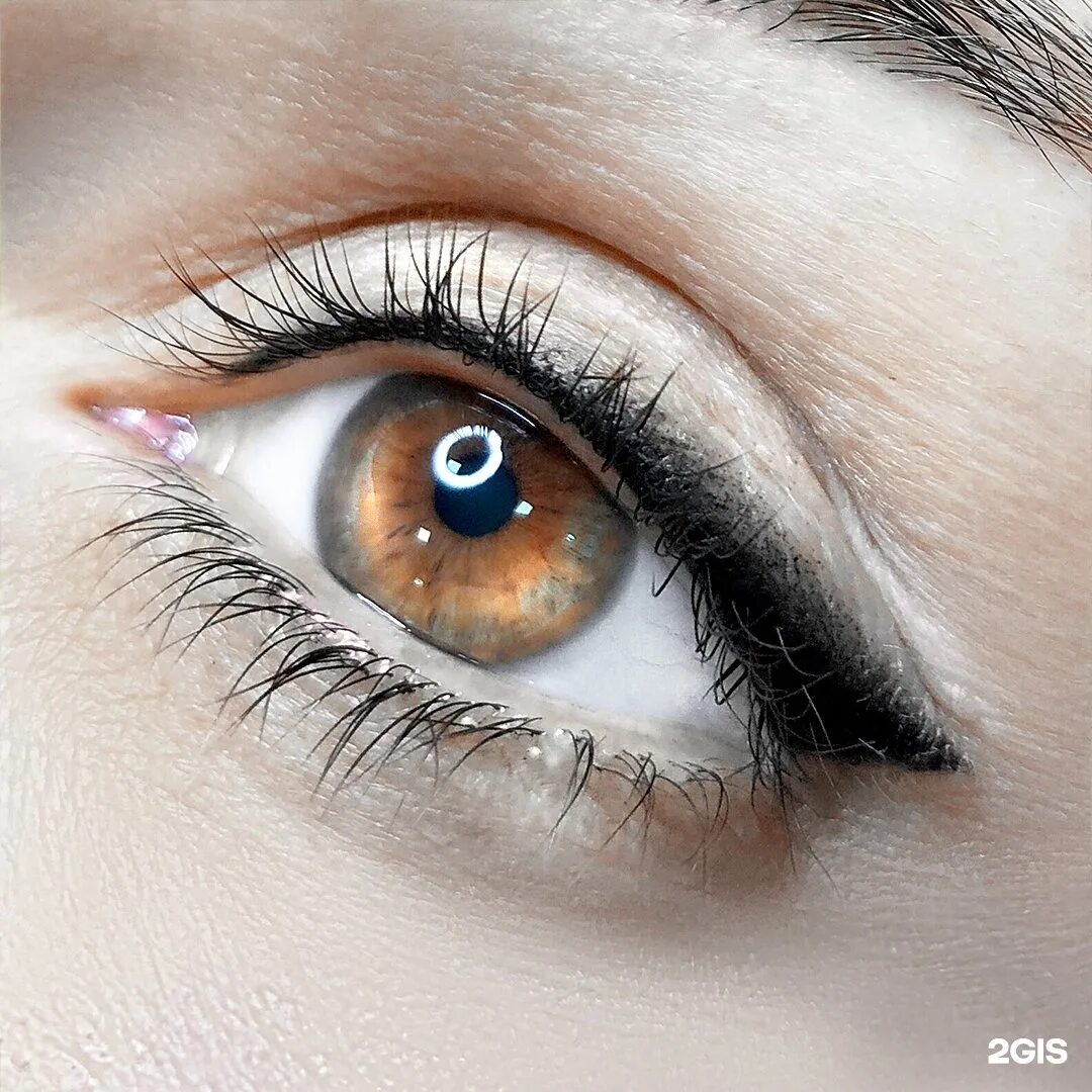 Пигмент лаб. Pigment lab снаружи. Карнаухов евгений тату. Пигмент лаб. Пигмент лаб.