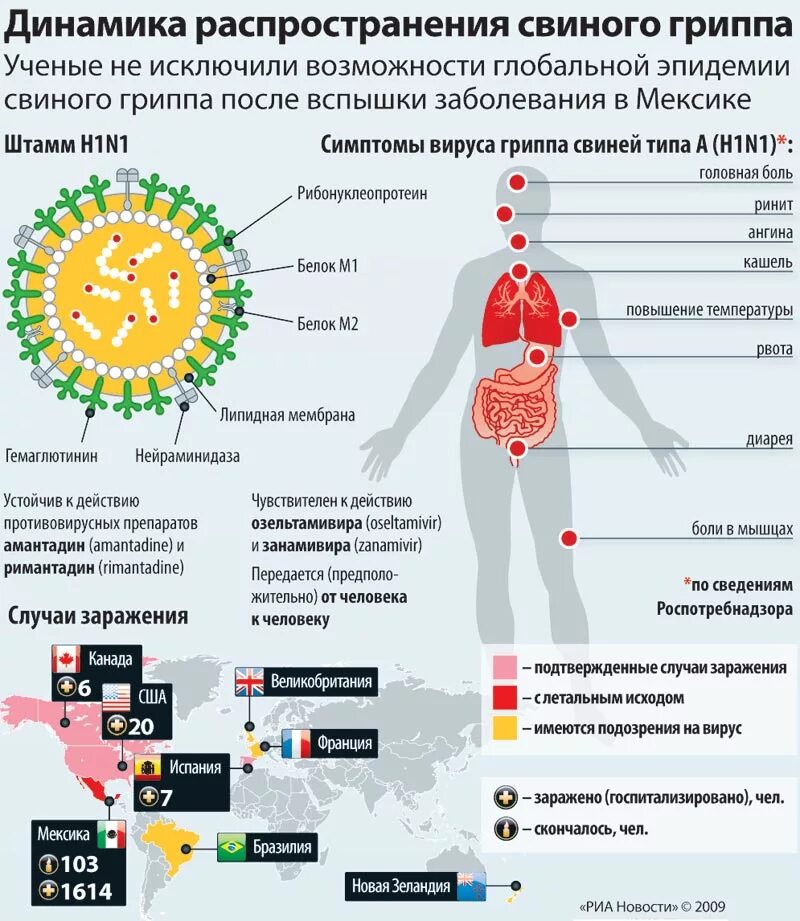 Случаев заболеваний заражения в. Вирус свиного гриппа (h1n1). Свиной грипп h1n1 симптомы. Вирус гриппа а (h1n1) симптомы. Пандемия свиного гриппа h1n1.