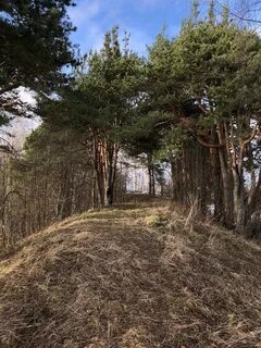 Городище вологодская область
