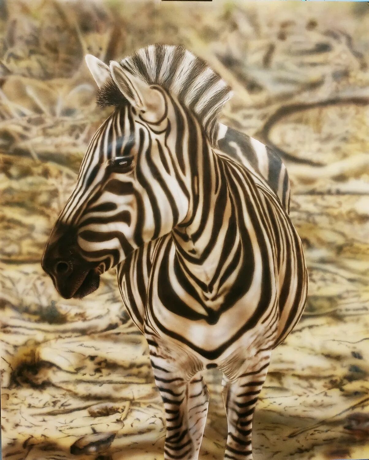 Zebra работа