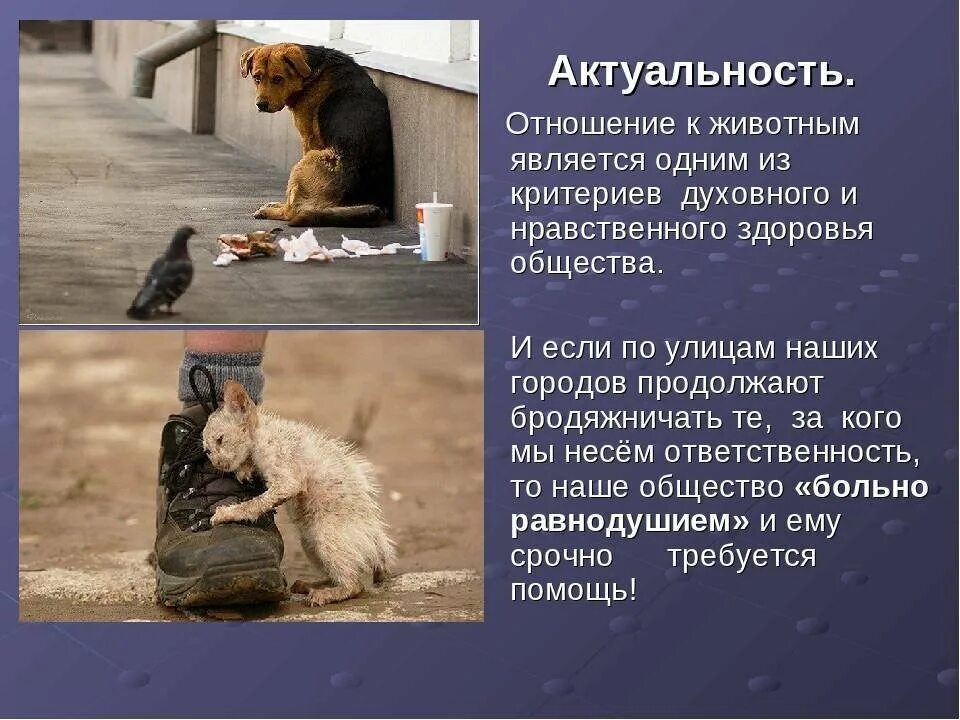 Рассказ о заботе о человеке. Бездомные животные и человек. Об отношении к животным. Отношение людей к животным. Отношение к бездомным животным.