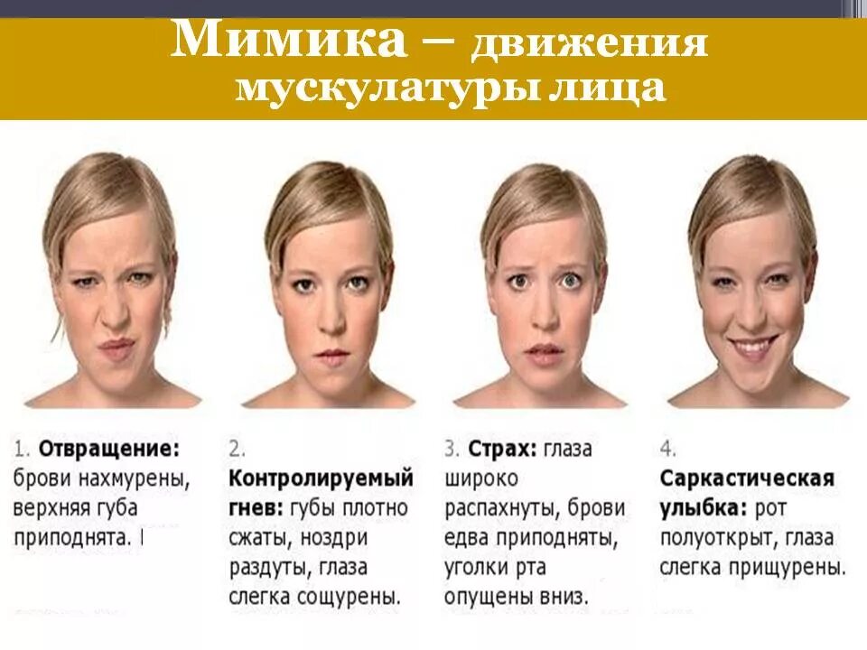 Язык тела зубы