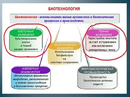 Современные методы биотехнологии