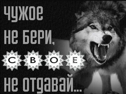Не выл