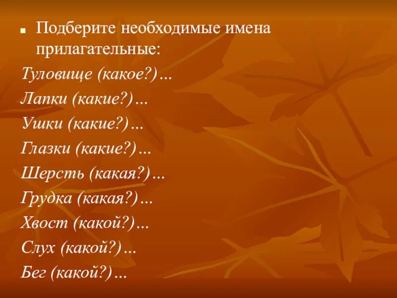 Лисий хвост какое прилагательное