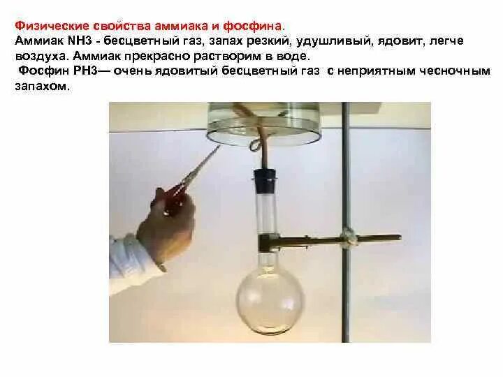 Почему пробирка вверх дном аммиак. Nh3 бесцветный газ. физические свойства аммиака. сравнить аммиак и фосфин. фосфин растворимость в воде.