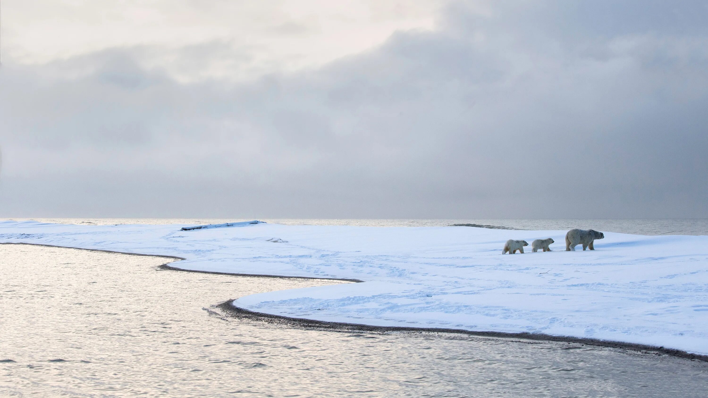 Вдали от берега. Белое море Северный Ледовитый океан. Побережье Северного Ледовитого океана. Моря Северного Ледовитого. Берег Северного Ледовитого океана.