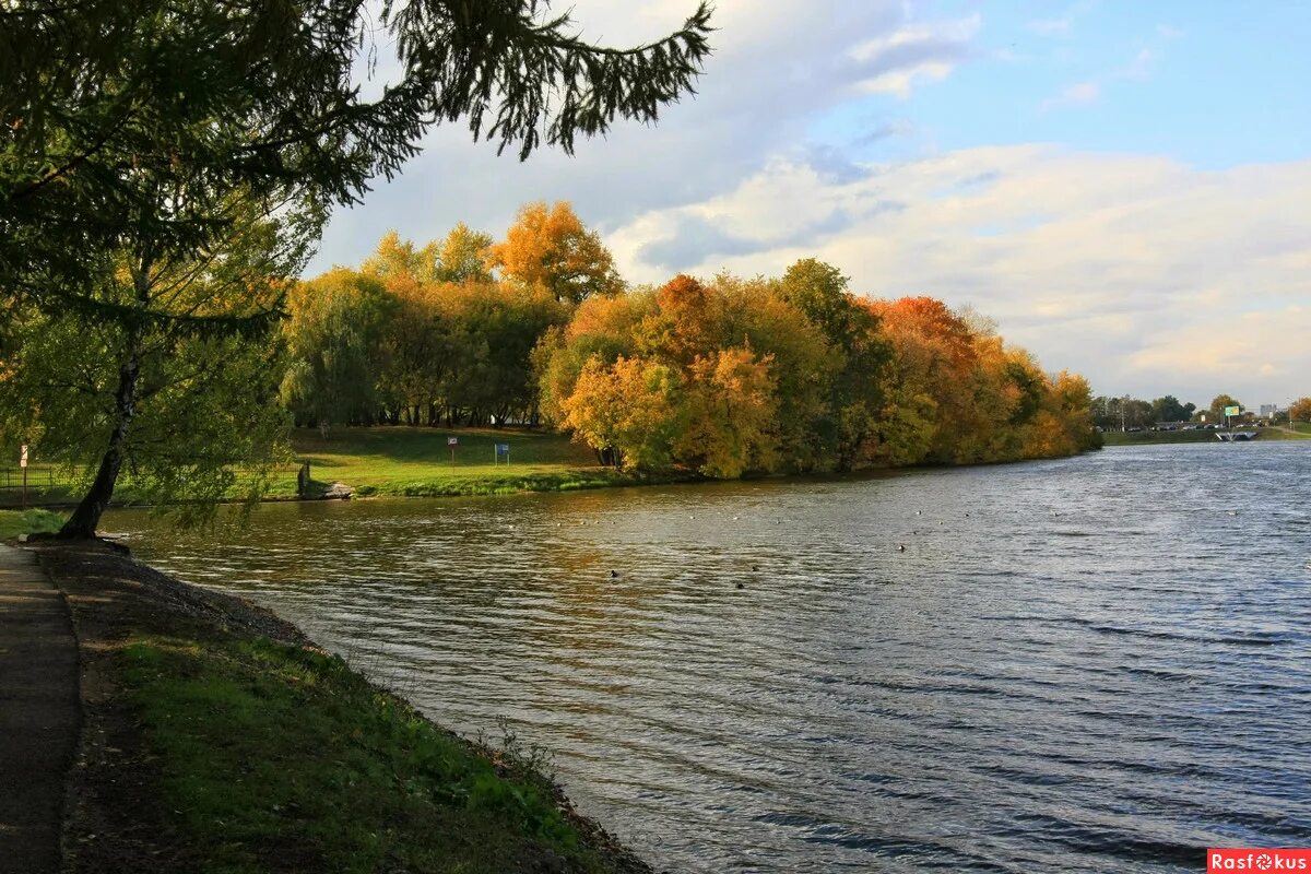 Парк Люблино. Люблинский парк Москва. Люблинский парк пик. Люблинский пруд Люблино. Люблинский парк сайт