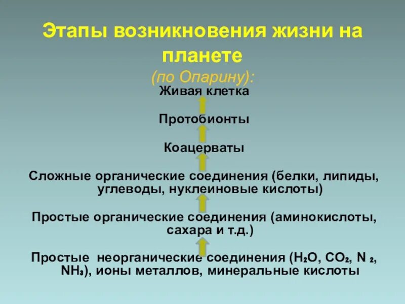 Последовательность появления жизни