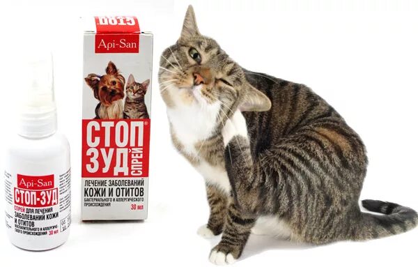 Стоп зуд для кошек инструкция по применению. Апи сан стоп зуд. стоп-зуд спрей для кошек. спрей от зуда для кошек. фуринайд спрей для кошек.