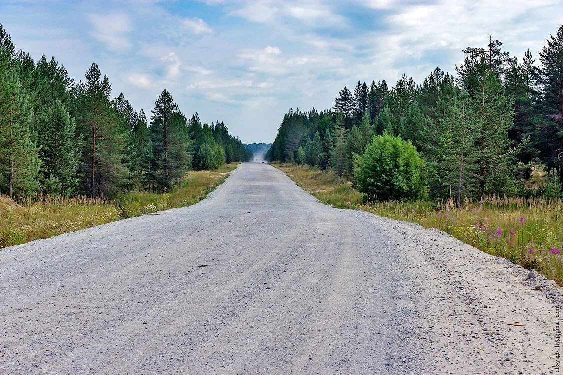 Придорожный лес. Аэропорт Красновишерск. Красновишерск дорога.