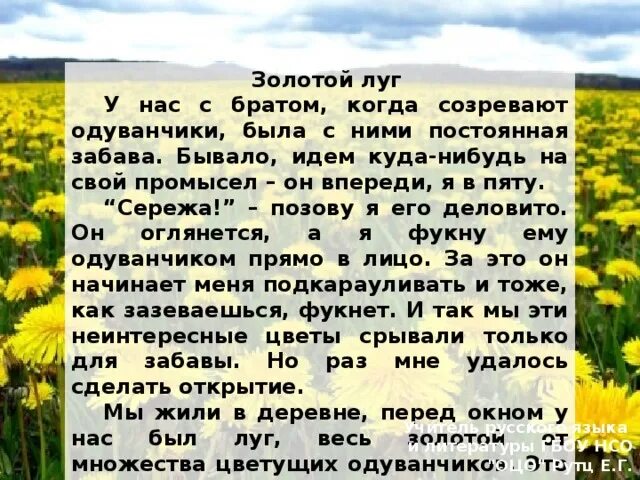 Пришвин золотой луг текст распечатать. Произведение Пришвина золотой луг. Рассказ Пришвина золотой луг. Рассказ м Пришвина золотой луг. Текст золотой луг.