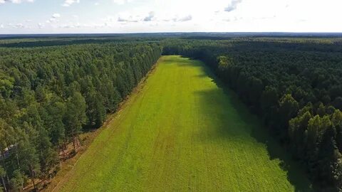Гектар в подмосковье