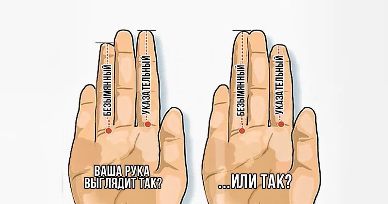 Поможет узнать в какой