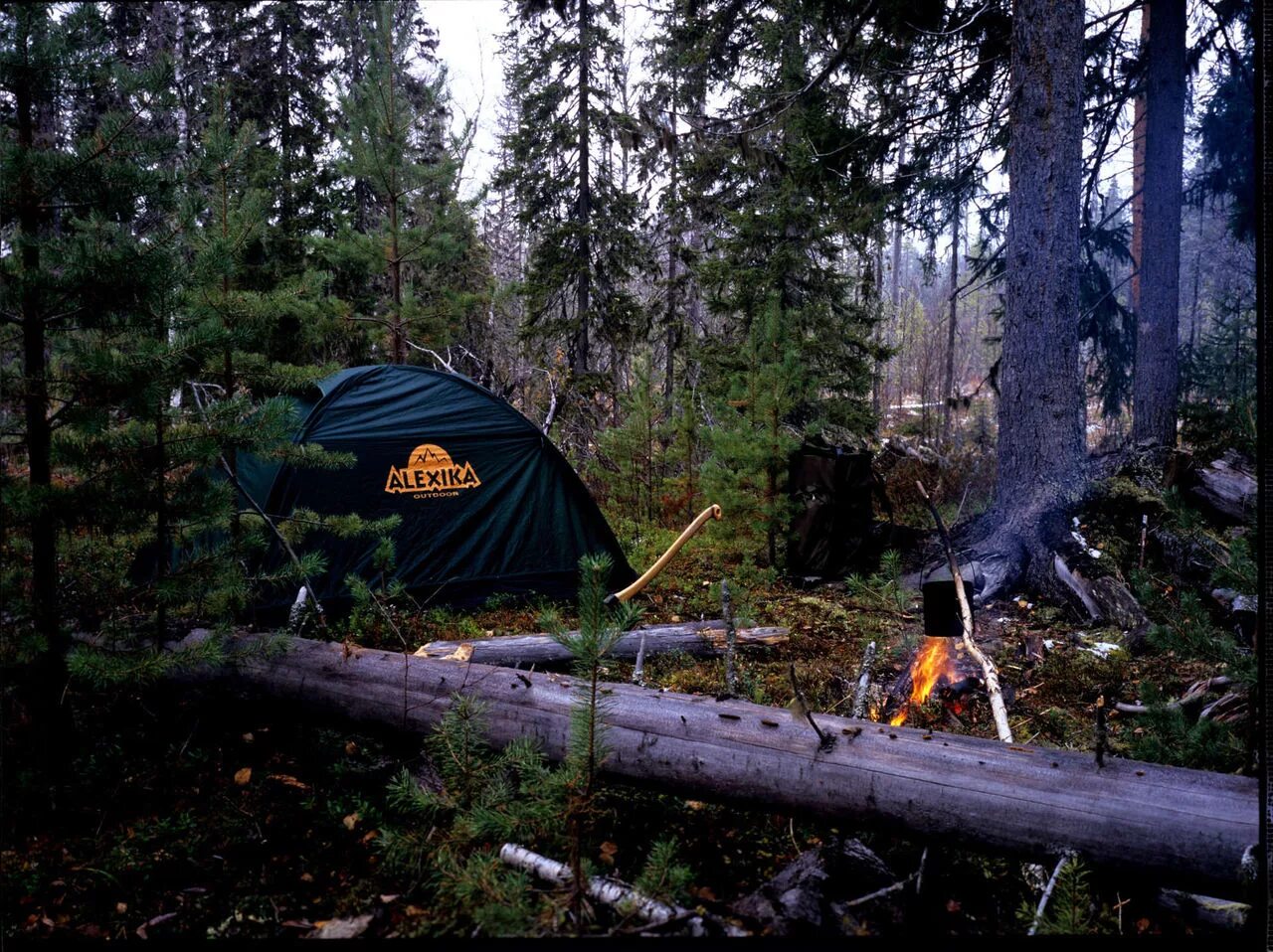 ночевка в лесу летом. ночевка в палатке в лесу. пикник на природе с палатками. палатка костер. палатка в лесу.