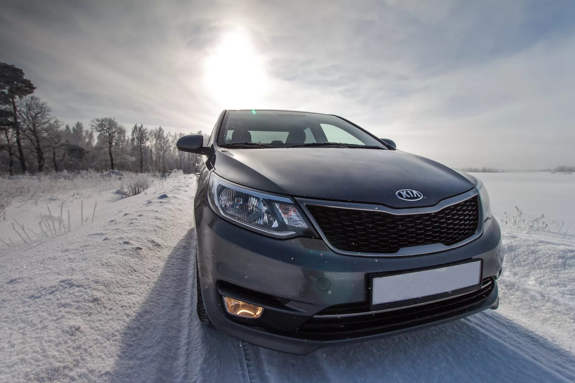 Едет серый. Kia rio серый карбон. киа рио серая. киа рио 3 серая. киа рио 3 серый карбон.