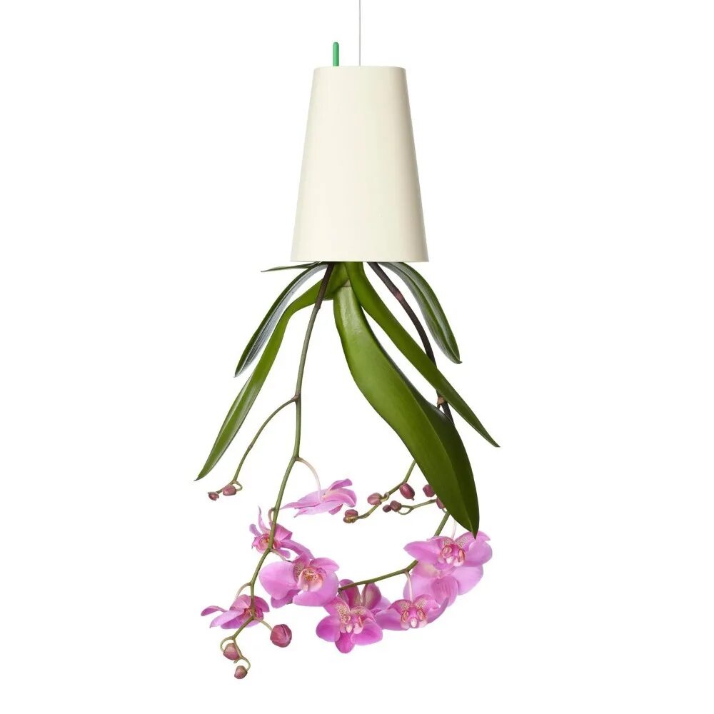 Необычные кашпо. Растения в перевернутых горшках. Подвесные сады кокедама. Перевернутый цветок. Перевернутые цветы в горшках.