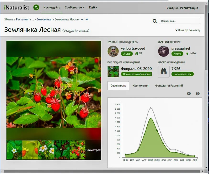 Naturalist логотип. логотип inaturalist. Inaturalist org на русском. Inaturalist. I naturalist приложение.