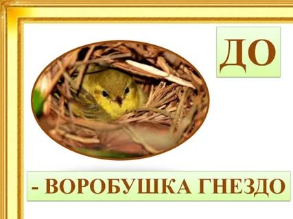 Песня воробушек