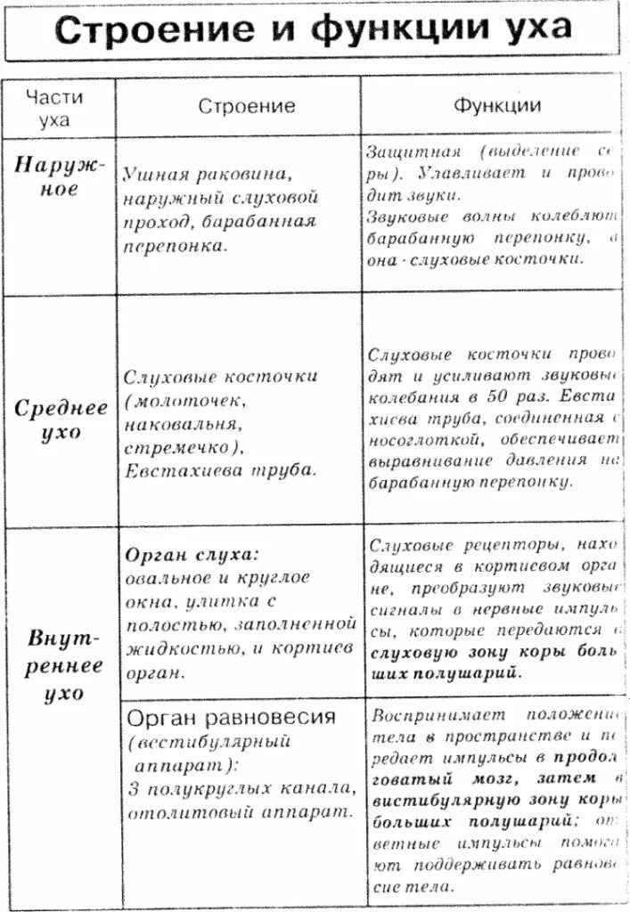 Заполните таблицу строение и функции уха. Таблица строение уха и его функции. таблица про ухо части строение функции. наружное ухо строение и функции таблица. строение и функции наружного среднего и внутреннего уха таблица.