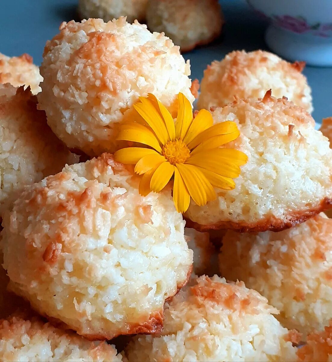 Печенье из кокосовой стружки. Печенье "кокосовое". Печенье с кокосовой стружкой. Печенье бисквитное кокосовое.