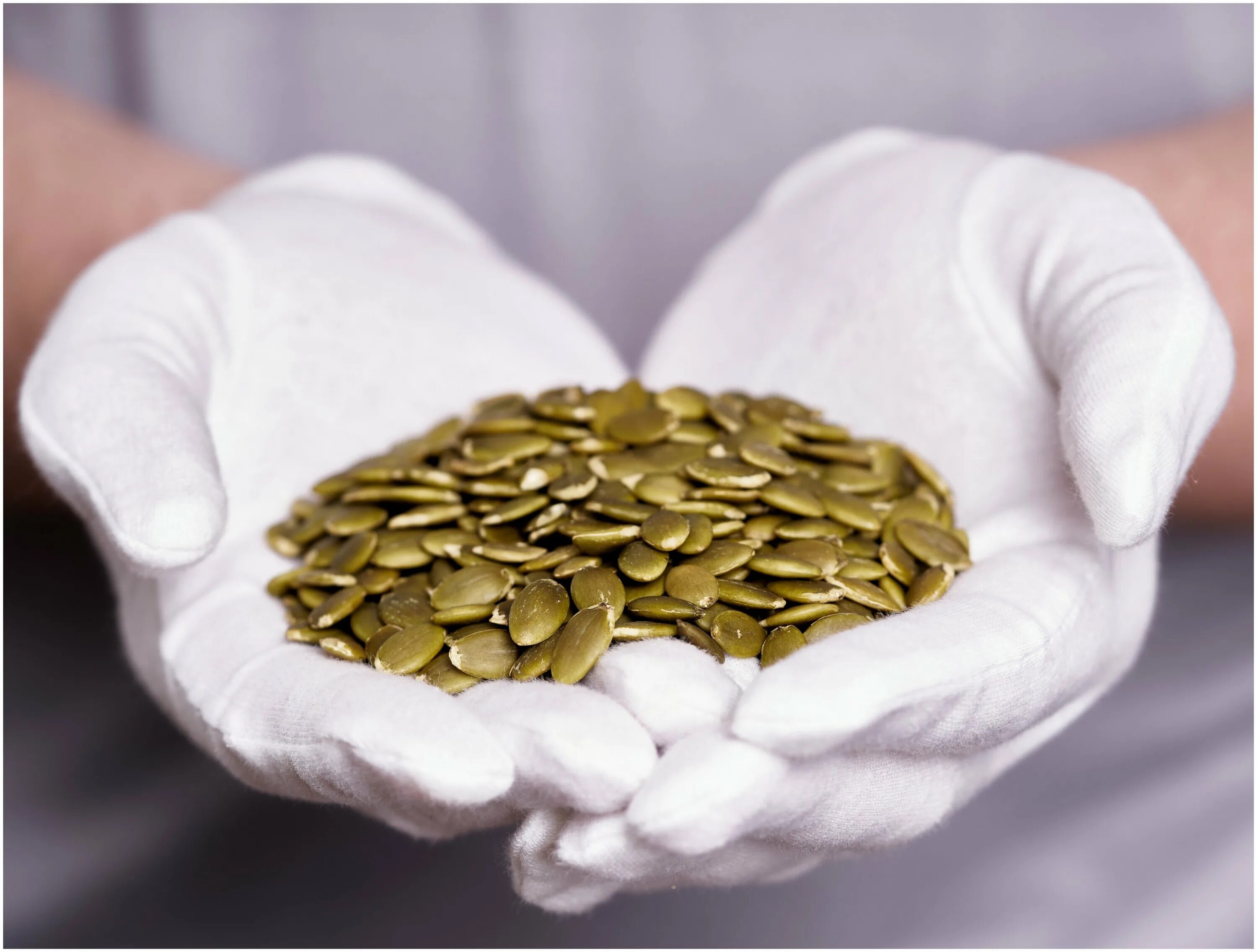 Очистка тыквенных семечек. Лекарство из тыквенных семечек. Тыквенные семечки очищенные. Семя тыквы. Очистка тыквенных семечек.