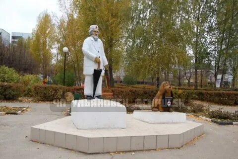 Айболит камышинская 10
