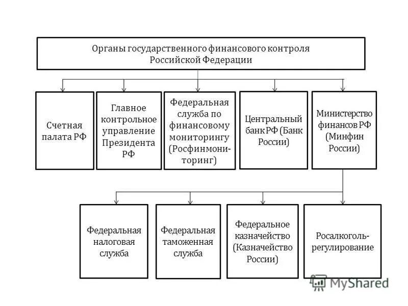 Принципы финансового контроля схема. Органы государственного финансового контроля рисунок. Структура органов государственного финансового контроля. Формы общественного финансового контроля схема. Центральный банк финансовый контроль.