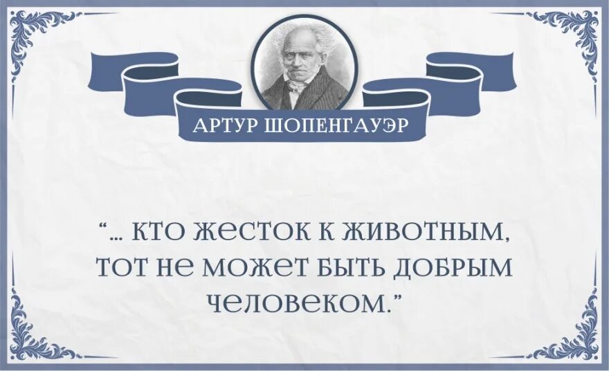 цитаты успешных людей. ). характер умных людей. критерии умного человека.