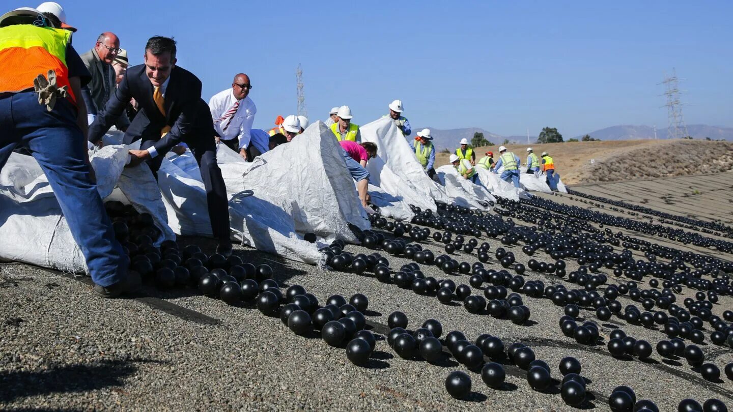 Миллион на шару. Черные шарики в водохранилище Лос-Анджелеса. Черные шары в водохранилище. Черные шары в Лос Анджелесе. 96 Миллионов шариков в водохранилище.
