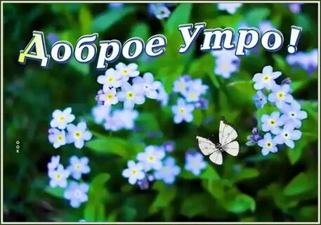 Короткие видео с добрыми пожеланиями
