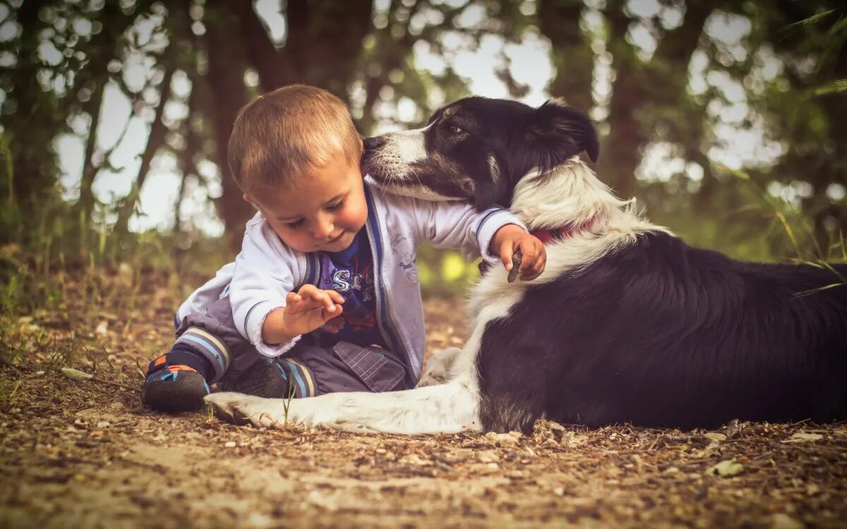 Мальчик с собакой. Собака для детей. Ребенок обнимает собаку. Мальчик обнимает собаку. Мальчик и две собаки