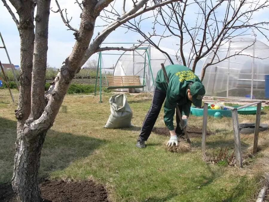 Помощь на участке работа