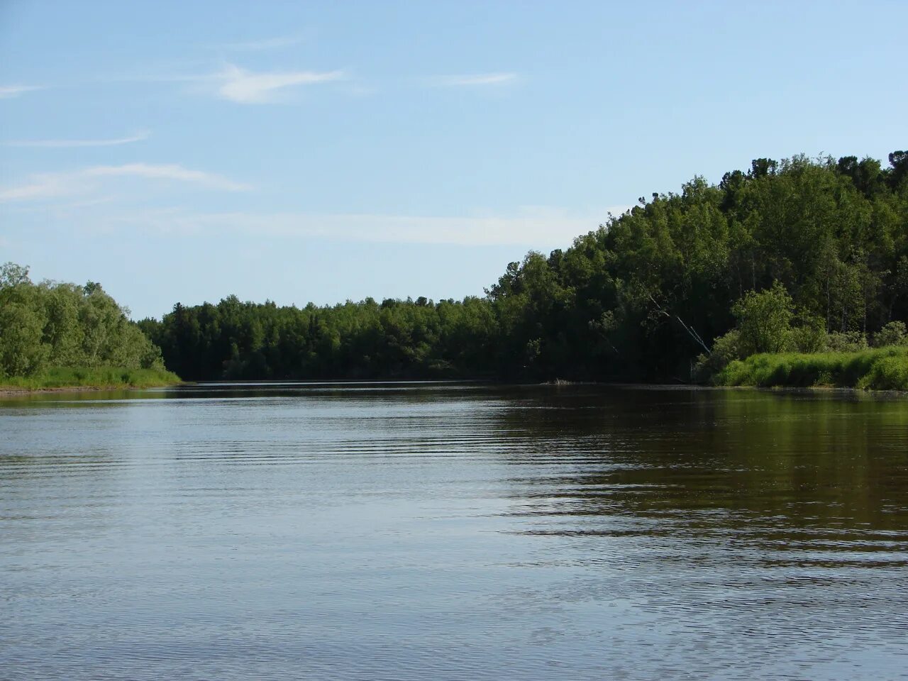 Березовский заказник. Березовский заказник. Лесоболотная зона большое каюково. Заказник вогулка хмао. Березовский заказник амурской области.