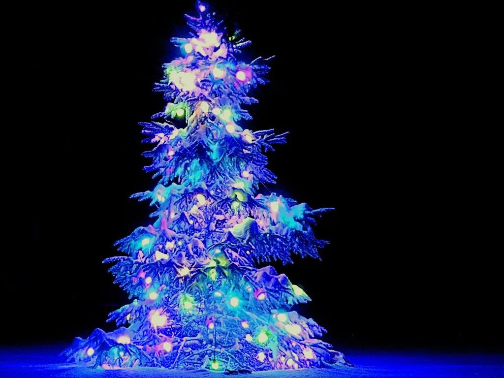 новогодняя елка. сияющая новогодняя ёлка. елка в огнях. елка сияет. красивый новогодний фон.