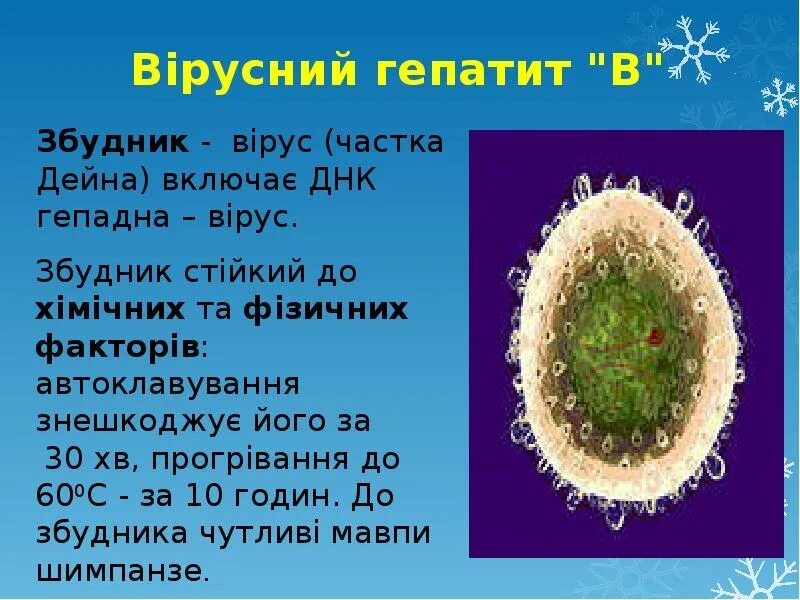 Вирусный гепатит м. Вірусний гепатит а. Гепатит презентация. Вирусный гепатит f. Вирус гепатита f.