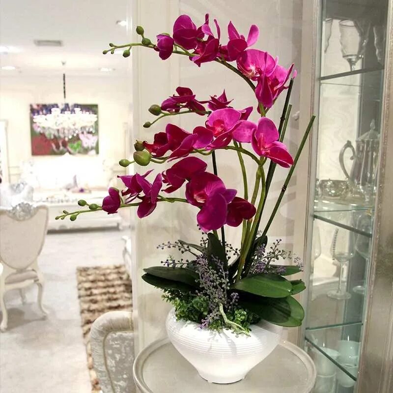 Можно ли искусственные цветы держать в квартире. Композиции с орхидеей фаленопсис. Орхидея фаленопсис в горшке. Фаленопсис цветок комнатный. Фаленопсис Орхидея живые.