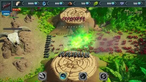 The ants underground