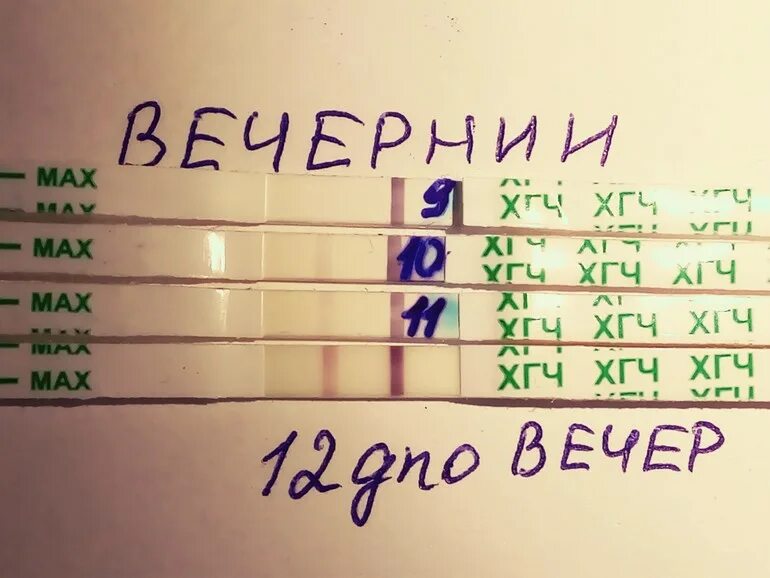 Тест имплантация на 12 ДПО. ХГЧ на 12 день после овуляции. ХГЧ после имплантационного кровотечения по дням.