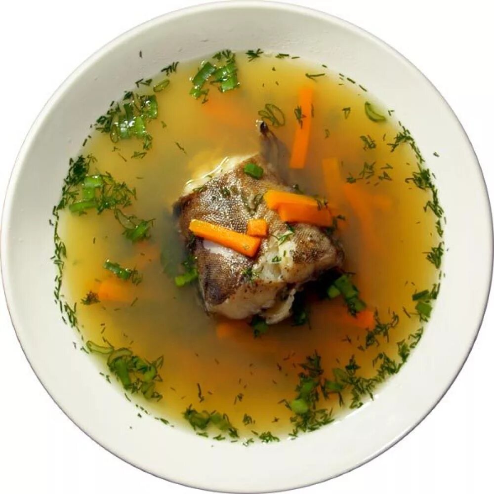 уха 3 буквы. уха 3 буквы. структура слухового анализатора анатомия. уха 3 буквы. вестибулярный аппарат слухового анализатора строение.