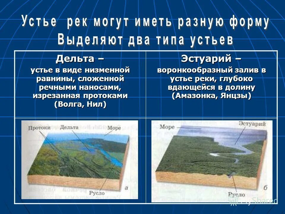 Устье каких рек является эстуарием. Виды устья рек. два вида устья реки. виды устьев примеры. основные типы устьев рек.