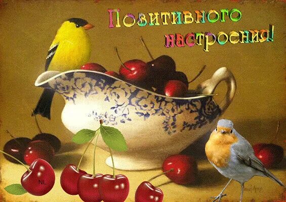 Доброго позитивного дня гифки. Гиф позитивного настроения и дня. позитивного настроения на весь день гиф. анимация позитивного настроения на весь день. добрые гифы позитивные.